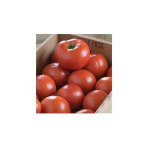  Davids Red Hybrid Tomato BHN 1021 20 Seeds per Packet 
