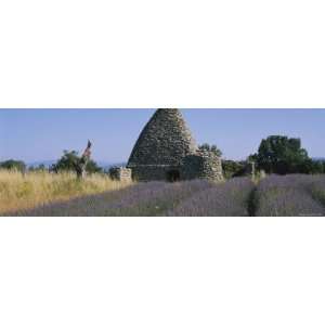  Stone Hut in a Lavender Field, Luberon, France 