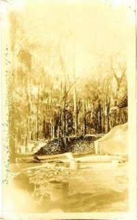 1926 Photo, Camping at Inglis, Florida, Wood Pile, Tent  