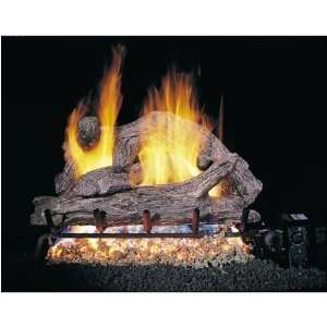   Vented Propane Gas Log Set W/ G4 Burner And Variable Flame Remote