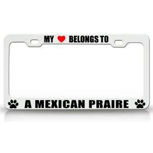 MY HEART BELONGS TO A MEXICAN PRAIRIE Dog Pet Steel Metal Auto License 