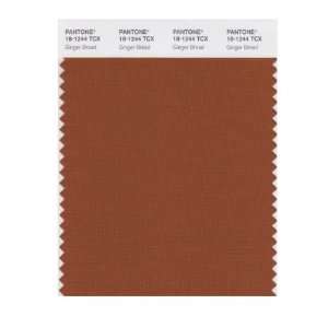  PANTONE SMART 18 1244X Color Swatch Card, Ginger Bread 