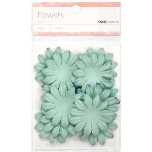    Kaisercraft Sky Blue Paper Flowers, 5cm Arts, Crafts & Sewing