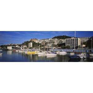  Boats at a Harbor, Oriental Parade, Wellington, North 