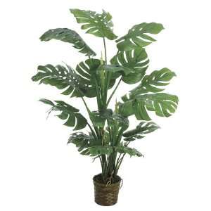  Pack of 2 Decorative Philodendron Plants with Baskets 5 