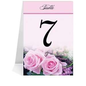   Number Cards   Baby Pink Roses on Pink #1 Thru #36