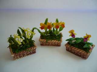 Set of 6 Mix Orchid Flower Plant in Pots Dollhouse Miniatures Deco 