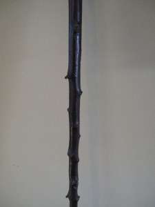 Antique Hames Walking Stick Cane Sliver Band Badge & Foot c. 1921 