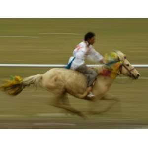  Horse at the Horse Racing Festival, Zhongdian, Deqin 