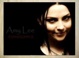 AN1150 rock band Evanescence Amy Lee POSTER  