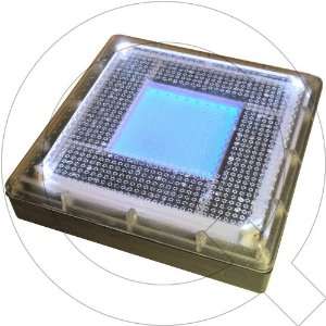    LED Solar Ground Lights / Constant On Blue Color