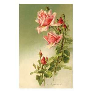  Stems of Pink Roses Premium Giclee Poster Print, 18x24 