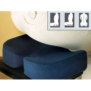  Scientific Worlds Best Memory Foam Seat Cushion 