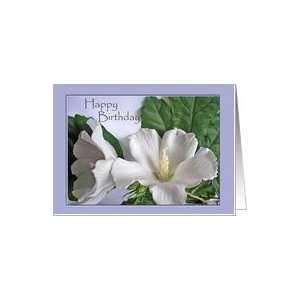  Birthday Card, White Hibiscus, Rose of Sharon Card Health 
